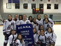 North Shore Avalanche Peewee A League